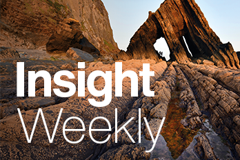 Insight Weekly 348X232 Website Tile Week 4